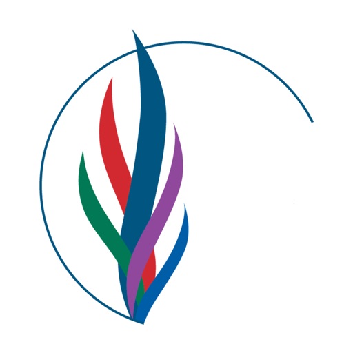 Wellness Recovery Action Plan