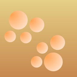 Photo Face Blur