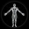 BodBot AI Personal Trainer icon