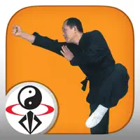 Shaolin Kung Fu Fundamental