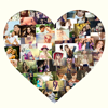 Photo Shape Collage Maker. - Pankaj Yadav