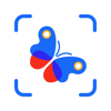 Picture Insect: Bug Identifier - Next Vision Limited