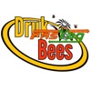 DrukBees Fastag