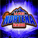 La Más Norteña Radio