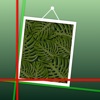 Pocket Laser Level