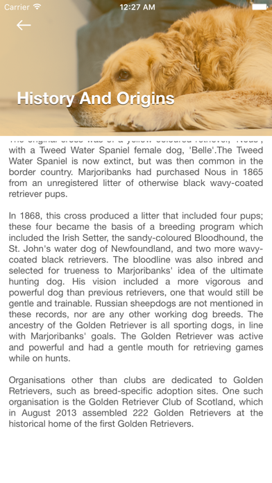 Golden Retriever: Breed Guide iPhone screenshot