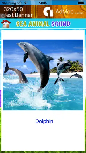 Wild Animal Sounds HD screenshot 3