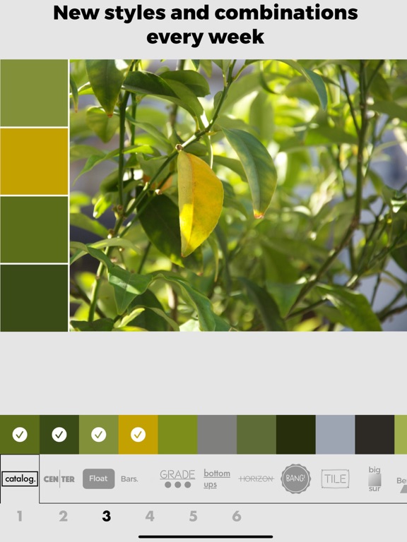 Screenshot #6 pour Color Viewfinder - palette