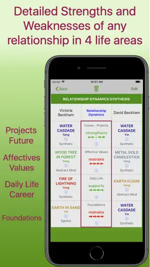 Relationship Decoder screenshot 2