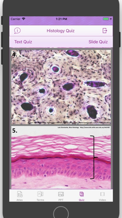 Histology Cell Tissue Screenshot 6 of 10