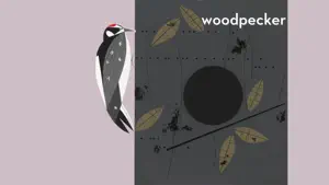 Peekaboo Forest screenshot 2