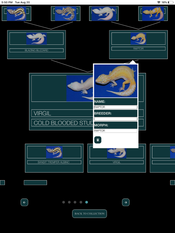 RepTool iPad screenshot 5 - Utilities app
