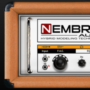 Range 120 Guitar Amplifier