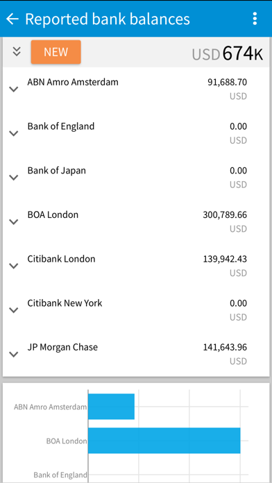 ION Treasury Anywhere Screenshot