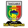 Get ePusda Kab Tanggamus for iOS, iPhone, iPad Aso Report