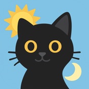 Solar Basics