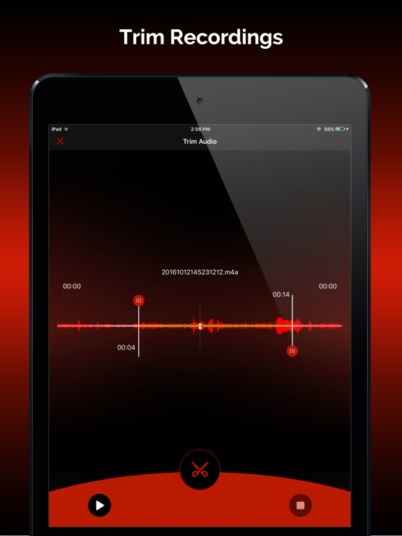 Screenshot #5 pour HD Recorder Pro : Voice Editor