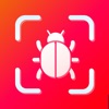 Bugs id - Insect identifier ai icon