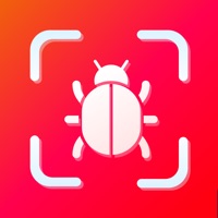 Bugs id - Insect identifier ai