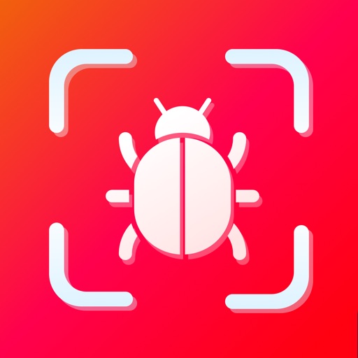 Насекомые, bee, жуки по фото