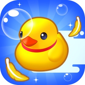 Duck Slide Ocean