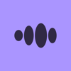 iMemo Transcribe Voice to Text - RATEL