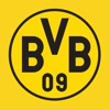 BVB icon