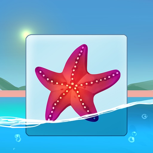 Onnect – Pair Matching Puzzle