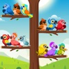 Bird Sort Game: Color Puzzle icon