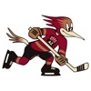 Tucson Roadrunners icon