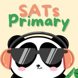 Bamboo Brain SATs