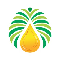 MBLion Oleo – Palm Oil Price