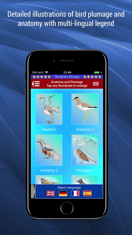 Birds of Europe screenshot-8