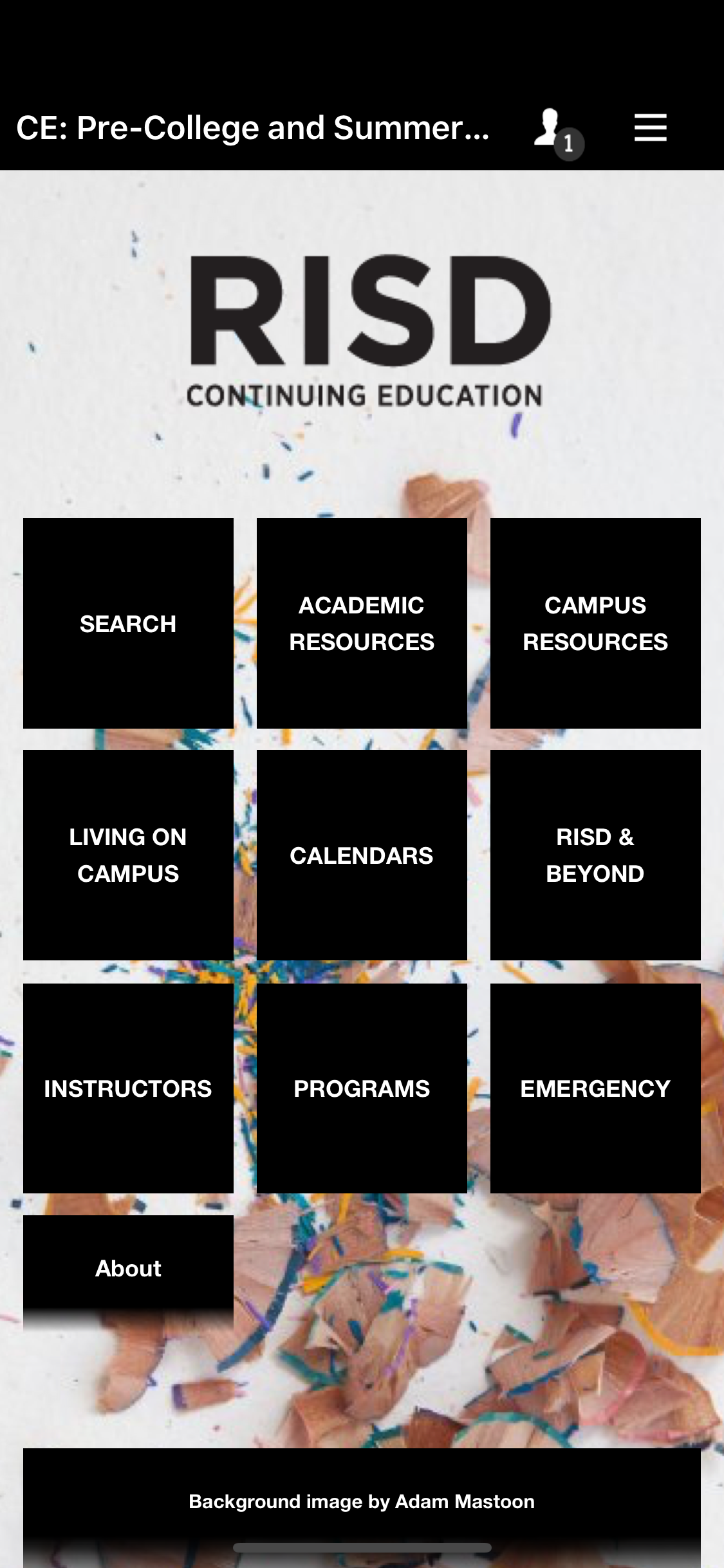 RISD screenshot 3
