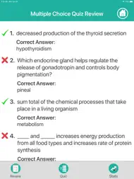 Endocrine System Medical Terms ipad bilder 3
