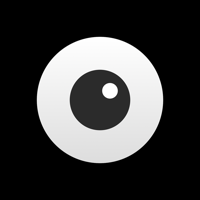Low Vision Simulator