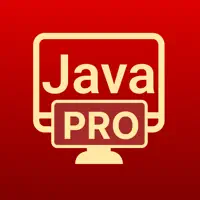 Learn Java Programming Pro