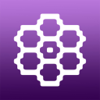 Warp Visualizer - Knit Foundry LLC