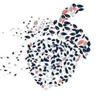 The Acorn Experience