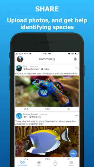 iSea Fish ID screenshot 3