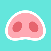 Pocket Money Tracker - Bomad