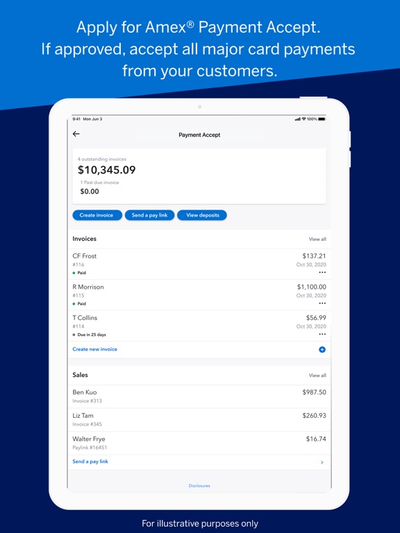 Amex Business Blueprint™ iPad screenshot 7 - Finance app
