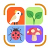 Identify Insects Plants Birds icon