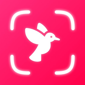 Bird Feather Identification °