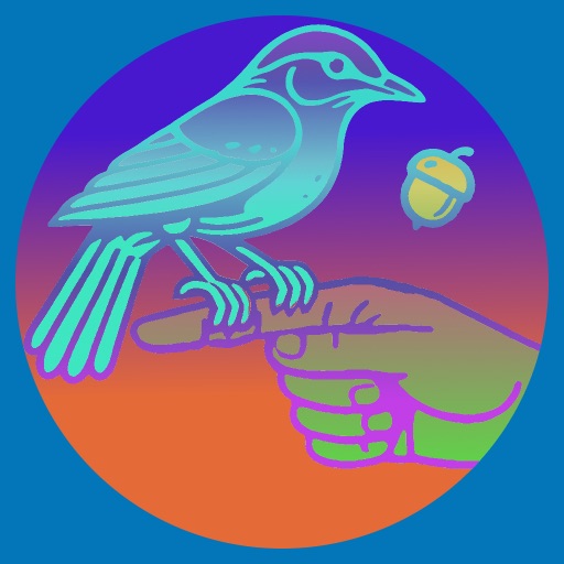 Spatial Birds app icon