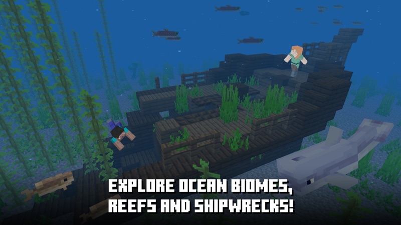 Minecraft: Dream it, Build it! screenshot 10