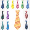 Necktie count and color icon