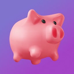 Daily Budget Piggy