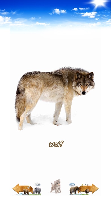 Amazing Animal Sounds Screenshot