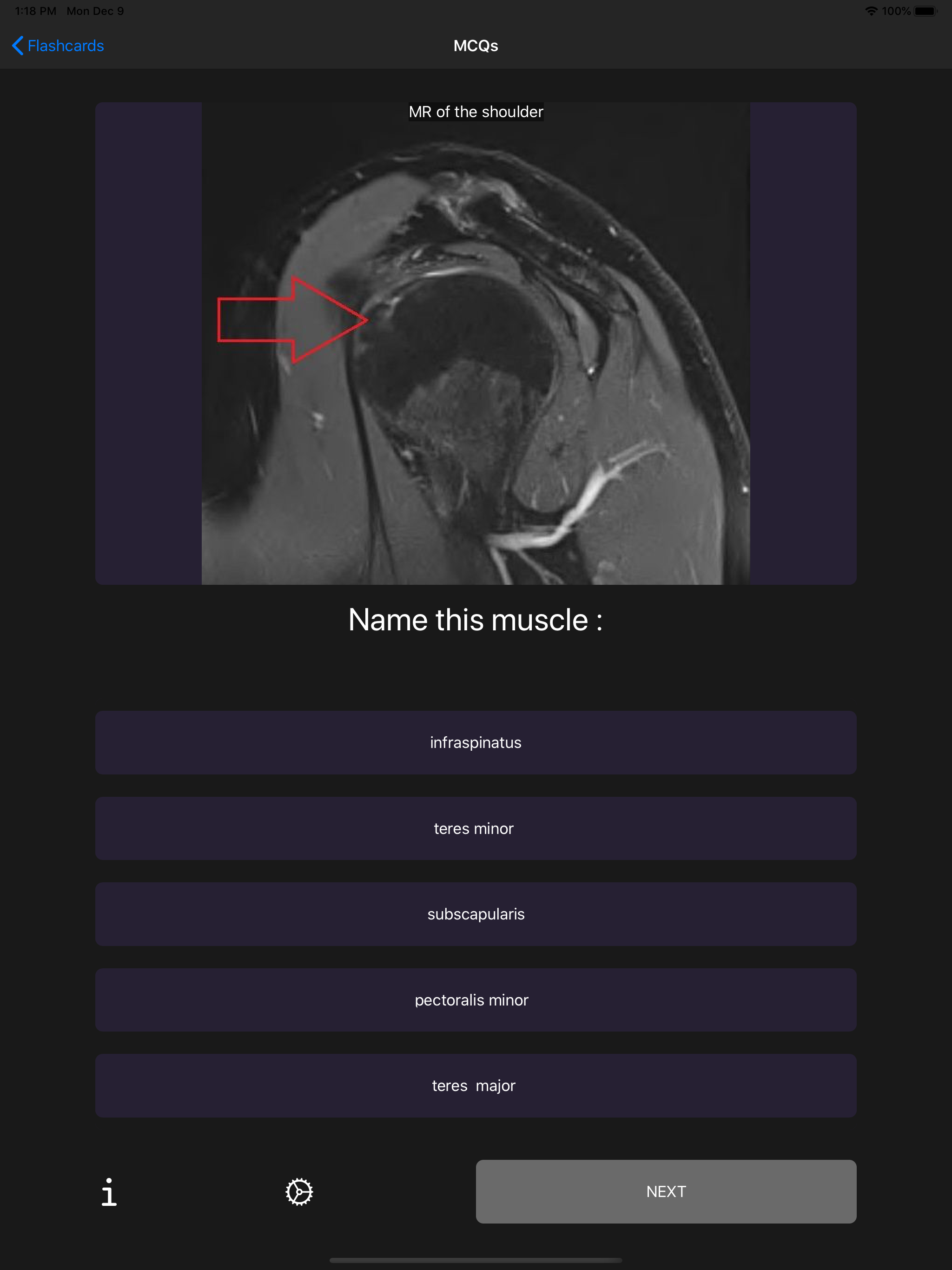 First FRCR Anatomy screenshot 11